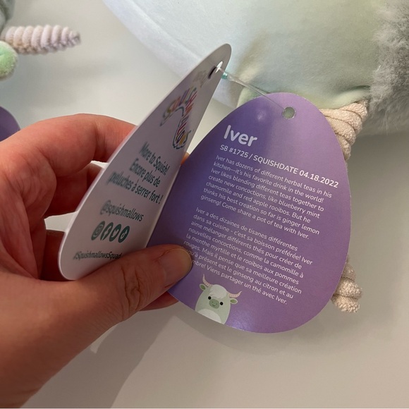 NWT Squishmallows Easter Set Of 2 - Iver Mint green Highland Cow Capsule 4” & 8” - Picture 14 of 14